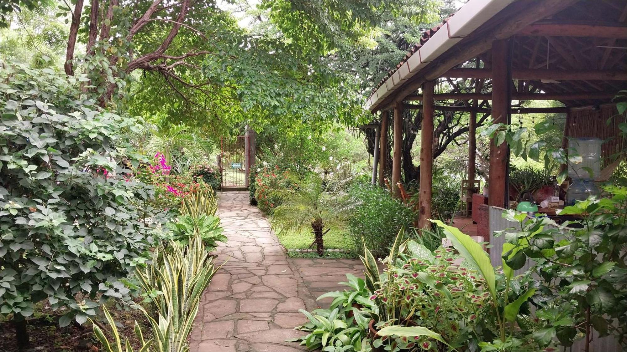 Casa Todo Bueno Panzió Transito Kültér fotó