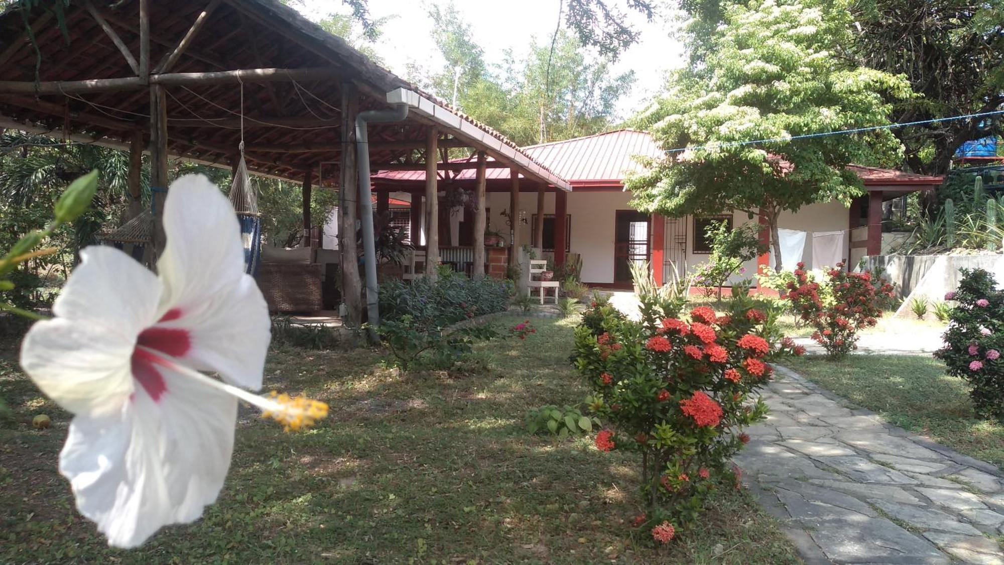 Casa Todo Bueno Panzió Transito Kültér fotó